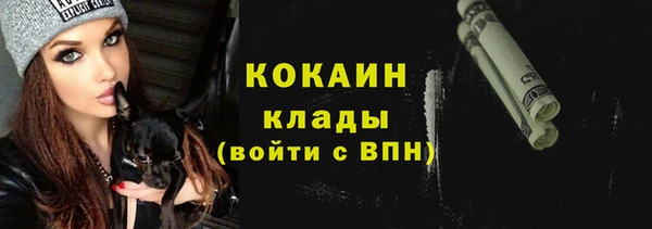 дживик Верея